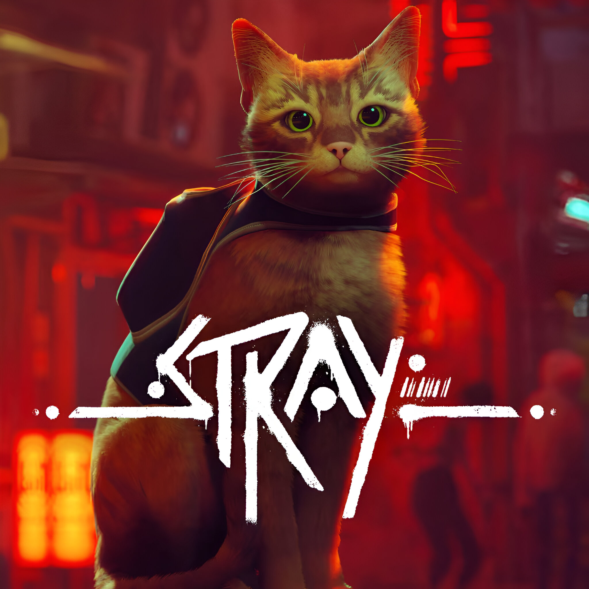 بازی Stray برای پلی استیشن