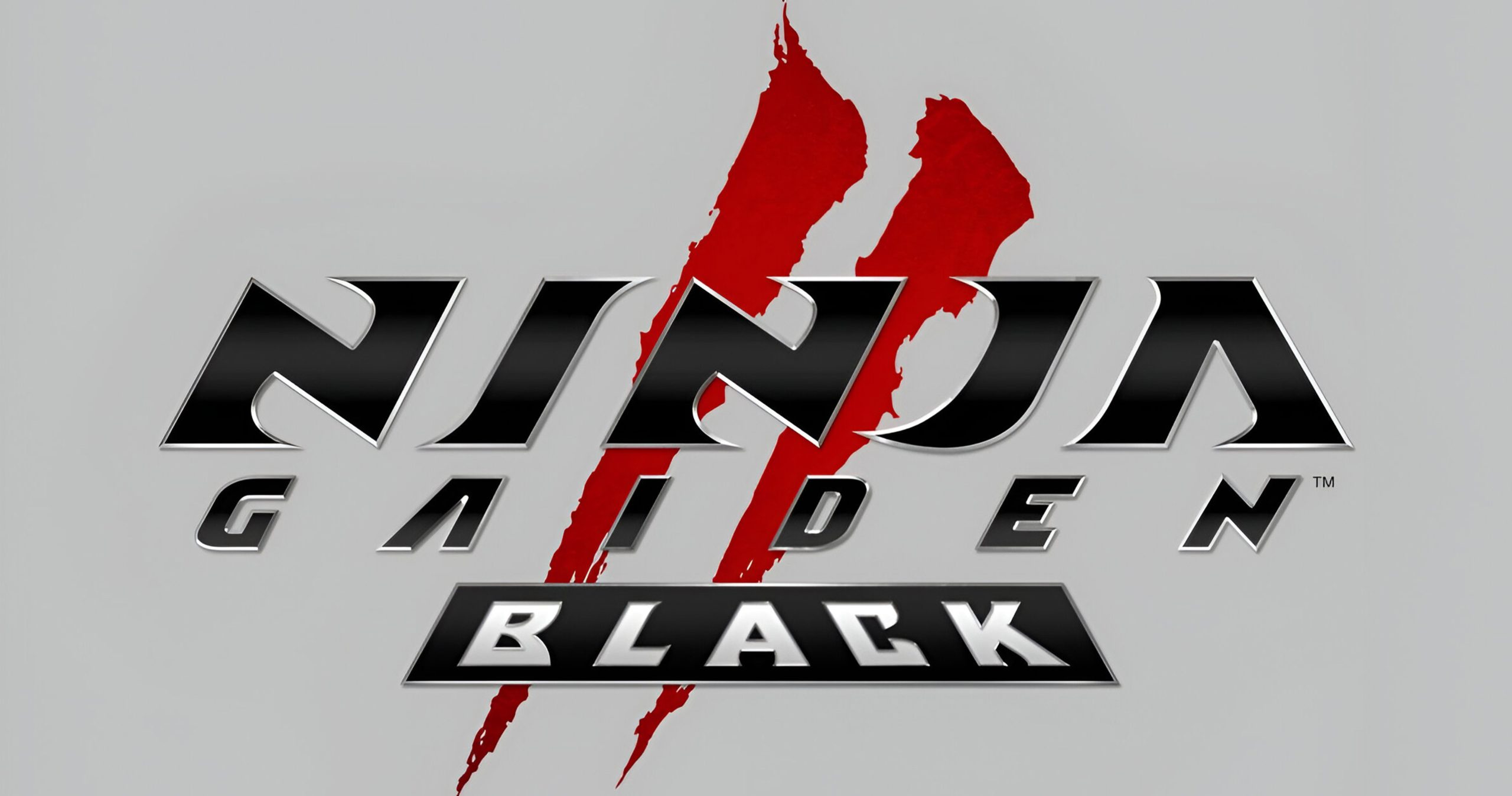 Ninja Gaiden 2